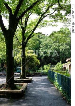 多摩動物公園 多摩動物公園 58784492