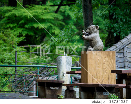 多摩動物公園 58784587