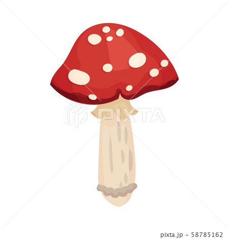 Amanita With A Red Hat Vector Illustration On のイラスト素材