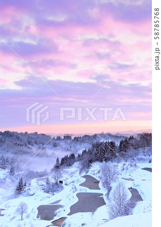 冬の蒲生の棚田 58785768