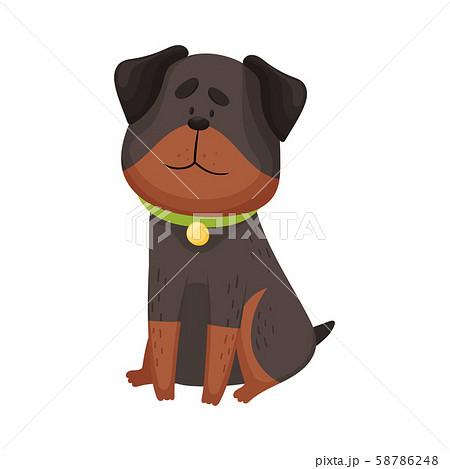 Cartoon Rottweiler Vector Illustration On A のイラスト素材