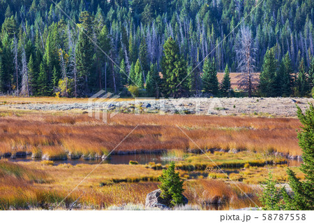 Autumn meadow Autumn meadow 58787558
