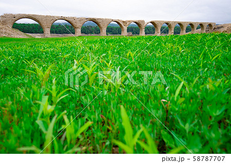 草原とタウシュベツ川橋梁　渇水の糠平湖 58787707