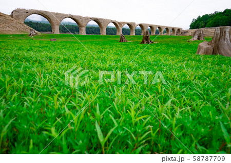 草原とタウシュベツ川橋梁　渇水の糠平湖 58787709
