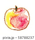 手描き透明水彩リンゴ 58788237