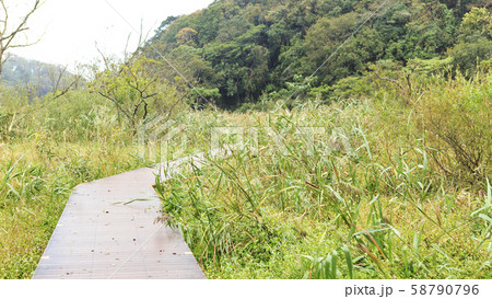 小網代(秋) 小網代(秋) 58790796