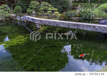 岡山後楽園　岡山城 58792139