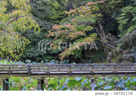 岡山後楽園 岡山城 岡山後楽園 岡山城 58792178