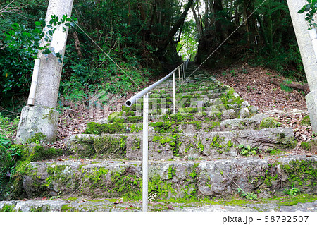 避難路 58792507