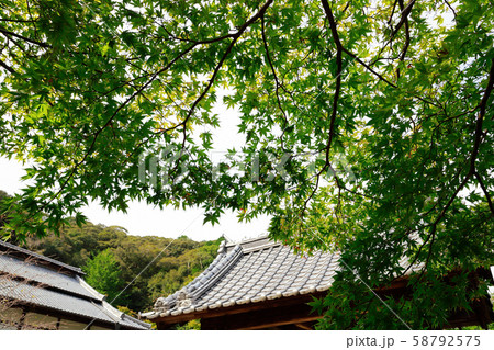 青源寺 58792575