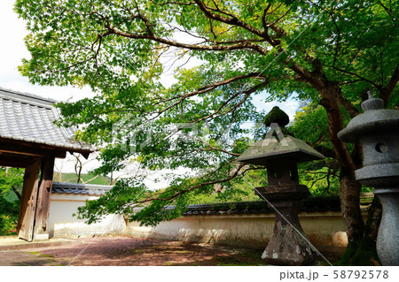 青源寺 58792578