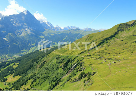 スイス、フィルスト展望台付近からの山景色 スイス、フィルスト展望台付近からの山景色 58793077