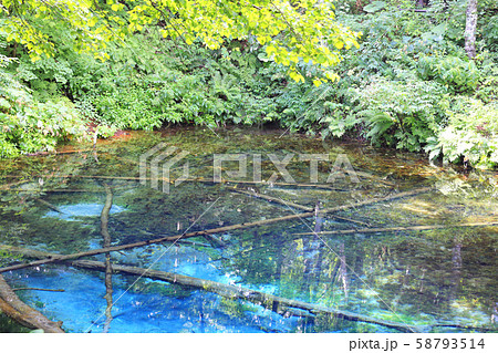 神の子池２ 58793514