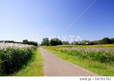 奈良・平城宮跡・秋の日の一本道１ 58793782