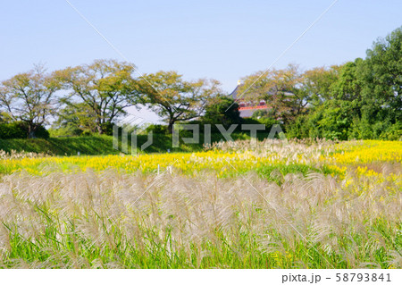 奈良・平城宮跡・秋の大極殿１ 58793841