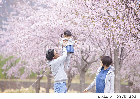 桜_家族 桜_家族 58794203
