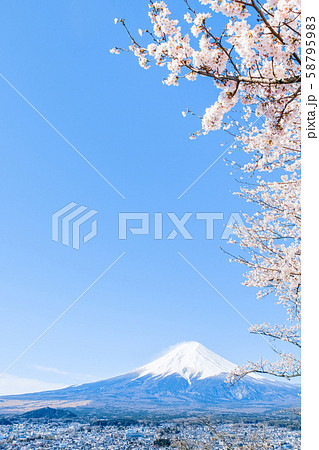 桜と富士山 桜と富士山 58795983