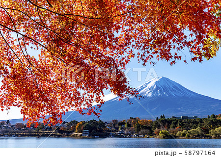 紅葉の画像素材 ピクスタ
