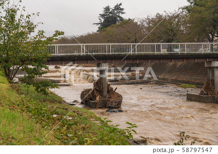 橋脚に絡まった木の根 58797547