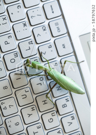 Computer bug metaphor, top view Computer bug metaphor, top view 58797632