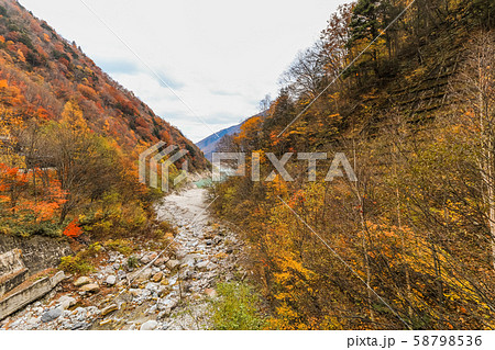 Beautiful autumn leaves of  Takase  Gorge in 58798536