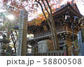 紅葉の高尾山薬王院 58800508