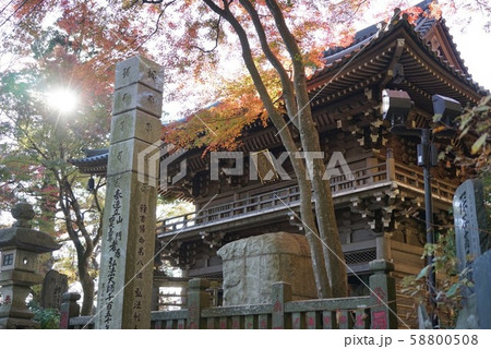 紅葉の高尾山薬王院 58800508