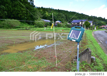 獣害対策の電気柵 58800853