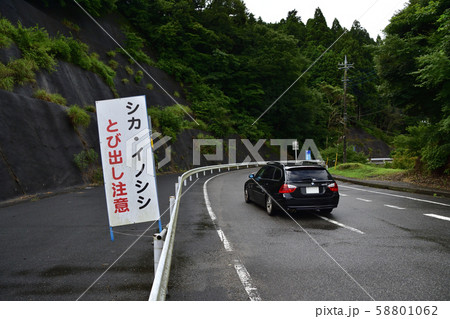 シカ　イノシシ　飛び出し注意の看板 58801062