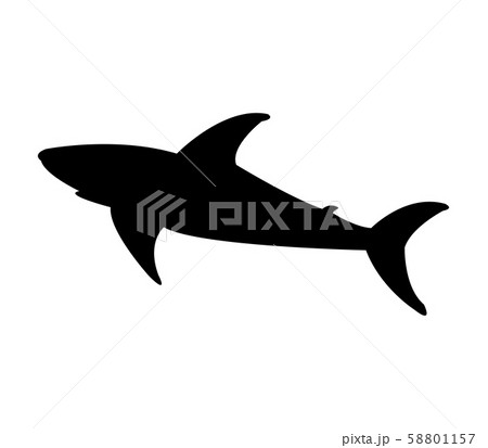 shark icon shark icon 58801157
