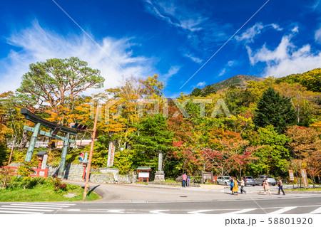 栃木 日光 二荒神社 登拝口周辺 栃木 日光 二荒神社 登拝口周辺 58801920