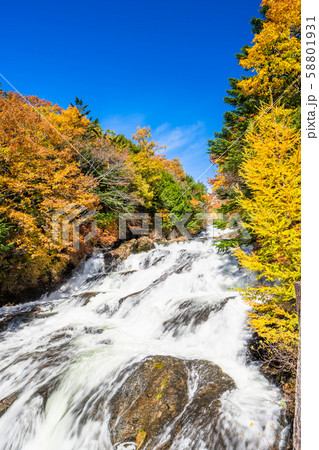 栃木 日光 竜頭の滝と紅葉 栃木 日光 竜頭の滝と紅葉 58801931