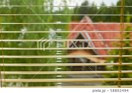 Through window blinds on a tree a red roof 58802494