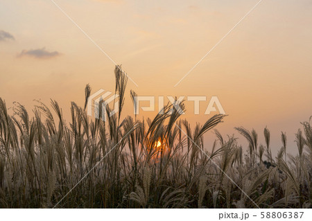 自然 風景 韓国 58806387