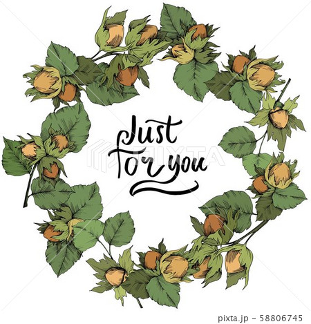 Vector autumn plant hazel nut. Leaf plant botanical garden floral foliage. Frame border ornament Vector autumn plant hazel nut. Leaf plant botanical garden floral foliage. Frame border ornament 58806745