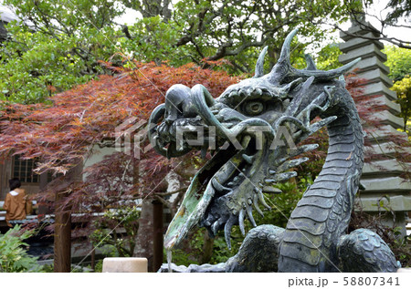 手水舎の龍 58807341