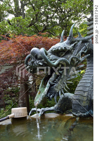 手水舎の龍 58807342