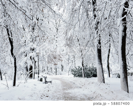 Winter city park Winter city park 58807400