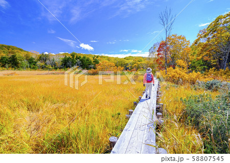 秋の玉原湿原とハイカー5 58807545