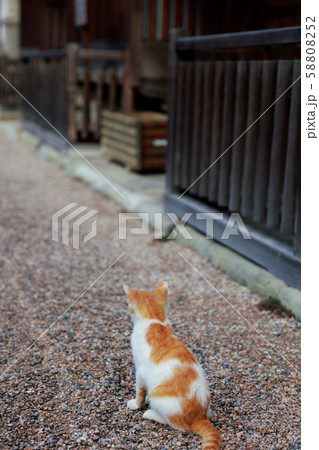 うだつの町並み 58808252