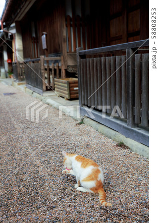 うだつの町並み 58808253