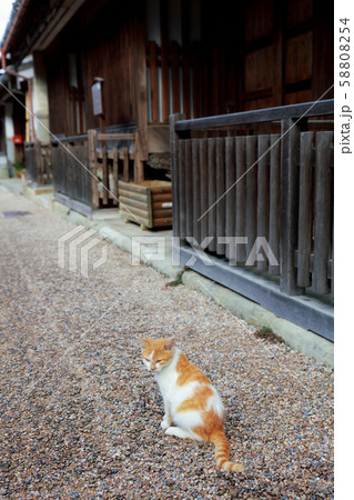 うだつの町並み 58808254