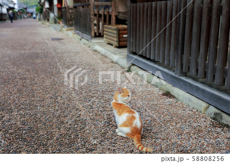 うだつの町並み 58808256