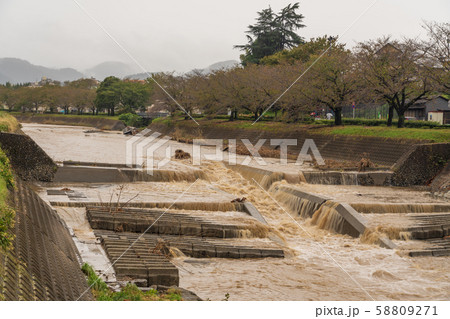 増水後の魚道の様子 増水後の魚道の様子 58809271