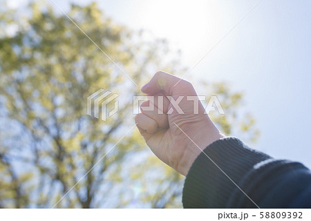 イメージフォト 58809392