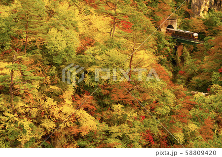 秋を走る 秋を走る 58809420