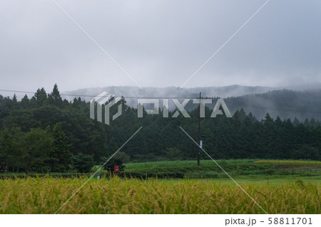 田園と朝霧 58811701