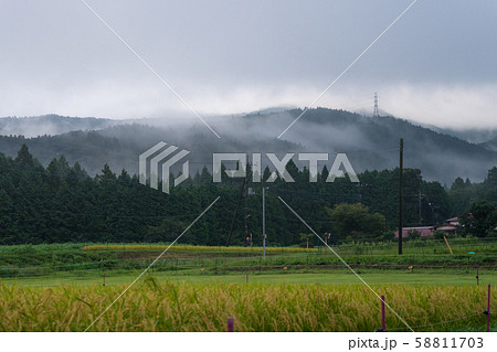 田園と朝霧 58811703