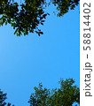 青空と新緑 58814402