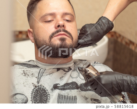 Beaver cutting with clipper and black comb, close Beaver cutting with clipper and black comb, close 58815618